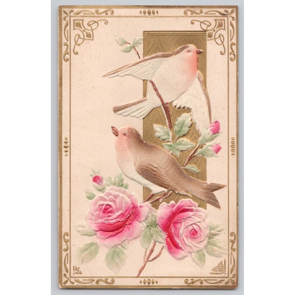 Two Doves & Pink Roses Embossed Posted Rochelle IL Illinois c1900s POSTCARD